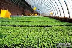 智能農(nóng)業(yè)環(huán)境監(jiān)測(cè)儀特點(diǎn)