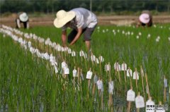 農(nóng)業(yè)氣象觀測(cè)儀系統(tǒng)特點(diǎn)都有哪些