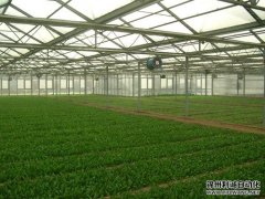 農(nóng)業(yè)環(huán)境監(jiān)測(cè)儀哪家好